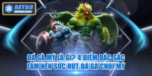 Đá Gà Mỹ Là Gì? 4 Điểm Đặc Sắc Làm Nên Sức Hút Đá Gà Chọi Mỹ