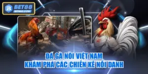 Đá Gà Nòi Việt Nam | Khám Phá Các Chiến Kê Nổi Danh